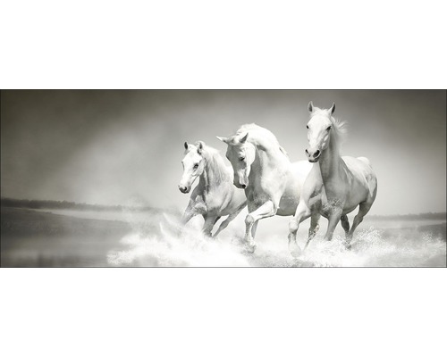 Tablou sticlă White Horses 30x80 cm