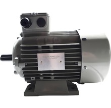 Motor electric monofazat 3kW 3000 rpm, incl. cablu de alimentare-thumb-0