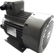 Motor electric monofazat 3kW 3000 rpm, incl. cablu de alimentare-thumb-1