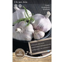 Trei bucăți de usturoi Arno pentru plantare