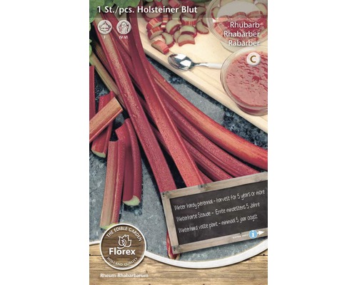 Plantă de rubarbă Holsteiner Blut în pachet