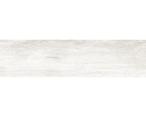 Gresie exterior / interior porțelanată glazurată Moringa Silver 15,5x60 cm