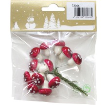 Pachet cu ciuperci decorative