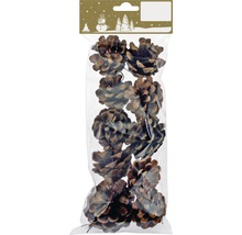 Pachet cu opt conuri de pin pentru decorare