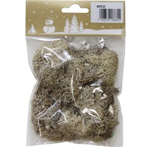 Pachet cu mușchi islandez pentru decorare