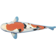 Crap koi cu model