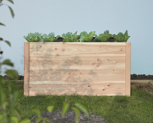 Jardineră înaltă din lemn cu salată în grădină.