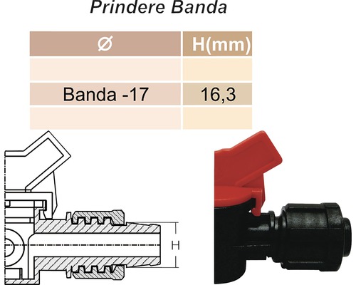 Racord Banda-17, dimensiuni 16,3 mm