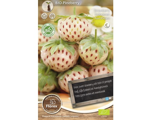 Bio Bulbi căpșuni 'Pineberry' 1 buc.