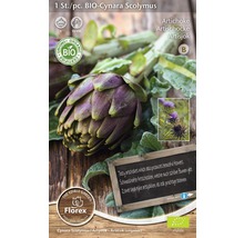 Pachet de semințe de anghinare cu sigiliu organic