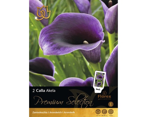 Bulbi de flori Premium Selection Cale 'Akela' 2 buc.