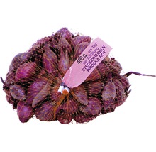 Arpagic roșu, soiul Piroska, la plasă de 400 de grame