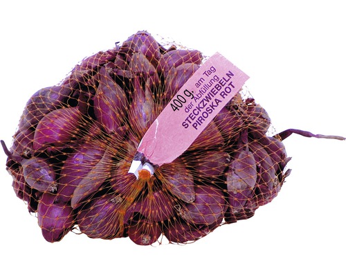 Bulb ceapă roșie 'Piroshka ', 400 g