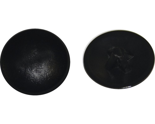 Capace mascare șuruburi cu cap cruce Dresselhaus PZ2, plastic negru, 50 bucăți