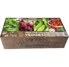 Set grădină de legume cu rucola, ridichi, castraveți și roșii cherry