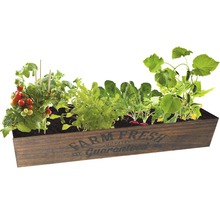 Jardiniere din lemn plantată cu roșii, ridichi, castraveți și salată