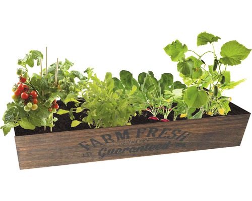 Jardiniere din lemn plantată cu roșii, ridichi, castraveți și salată