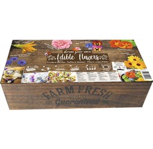 Set de cultivare flori comestibile pe fundal de lemn