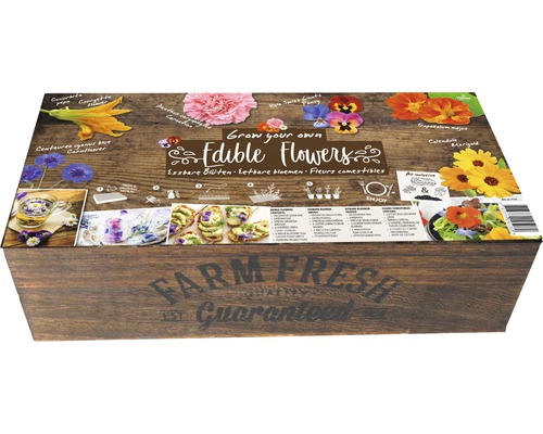 Set de cultivare flori comestibile pe fundal de lemn