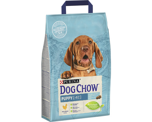 Purina Dog Chow hrană pentru căței în sac cu pui