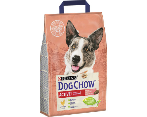 Sac hrană uscată pentru câini Purina Dog Chow Active