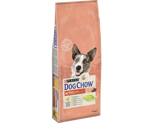 Purina Dog Chow Active hrană uscată pentru câini, 14 kilograme