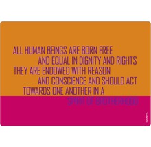 Ilustrație cu textul: Toate ființele umane se nasc libere și egale în demnitate și drepturi. Ele sunt înzestrate cu rațiune și conștiință și trebuie să acționeze una față de cealaltă în spiritul fraternității.