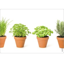 Diverse ierburi aromatice în ghivece