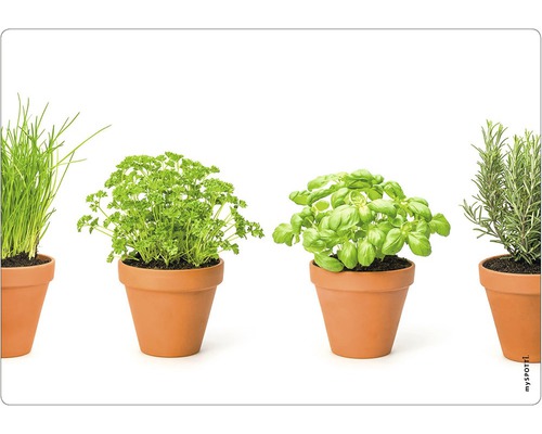 Diverse ierburi aromatice în ghivece