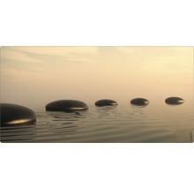 Pictură murală decorativă cu pietre în apă