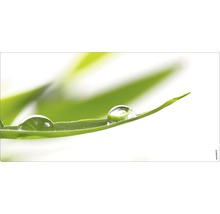 Prim-plan cu picături de apă pe o frunză verde