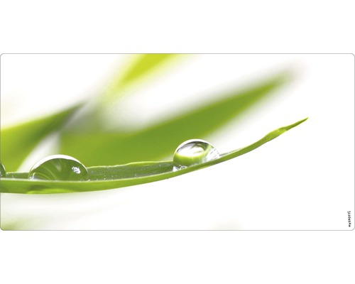 Prim-plan cu picături de apă pe o frunză verde