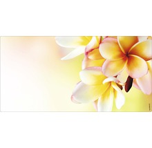 Flori pe un suport de birou