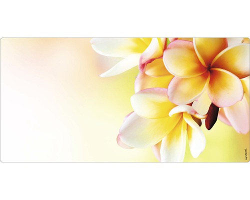 Flori pe un suport de birou