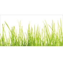 Ilustrație cu gazon