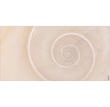 Prim-plan cu structura spiralată a unei cochilii de melc