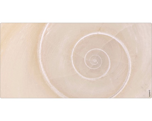 Prim-plan cu structura spiralată a unei cochilii de melc