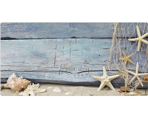 Stele de mare decorative cu scoici și plasă de pescuit în fața unui perete de lemn