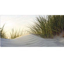 Dună cu iarba de plajă în nisip