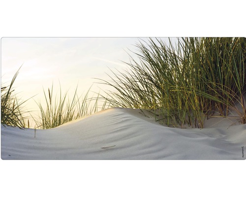 Dună cu iarba de plajă în nisip