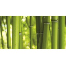 Motiv cu pădure de bambus