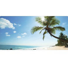 Plajă cu palmieri și cer albastru