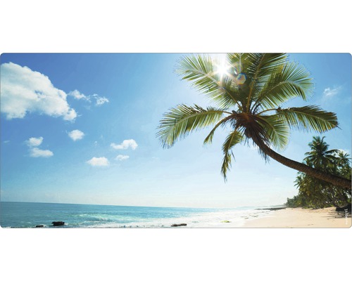 Plajă cu palmieri și cer albastru