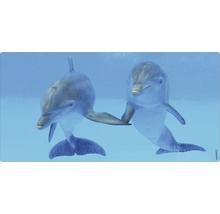 Doi delfini sub apă