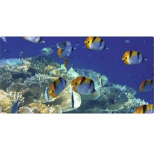 Decor acvariu cu pești și recif de corali