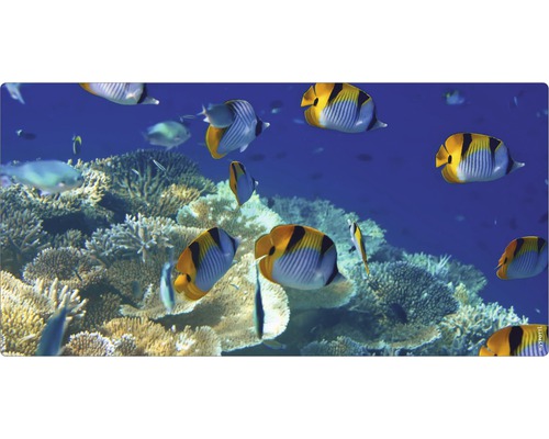 Decor acvariu cu pești și recif de corali