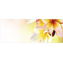 Motiv decorativ cu flori pentru diverse aplicații