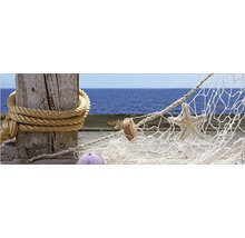 Motiv decorativ de plajă cu stea de mare și plasă de pescuit