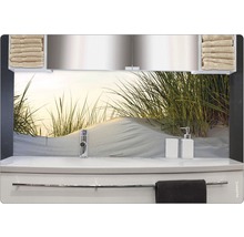 Chiuvetă de baie cu perete posterior care arată o dună de nisip cu iarbă