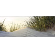 Tablou decorativ de perete cu motiv de dună și iarbă